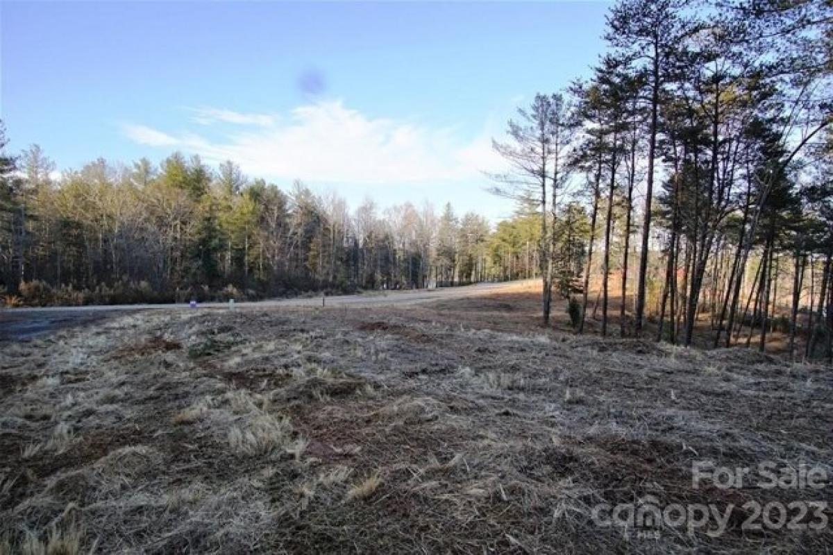 Picture of Residential Land For Sale in Valdese, North Carolina, United States