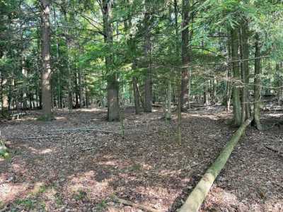Residential Land For Sale in Onekama, Michigan
