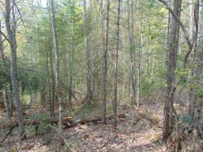 Residential Land For Sale in Champion, Michigan