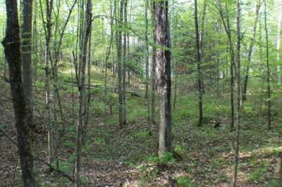 Residential Land For Sale in Park Falls, Wisconsin