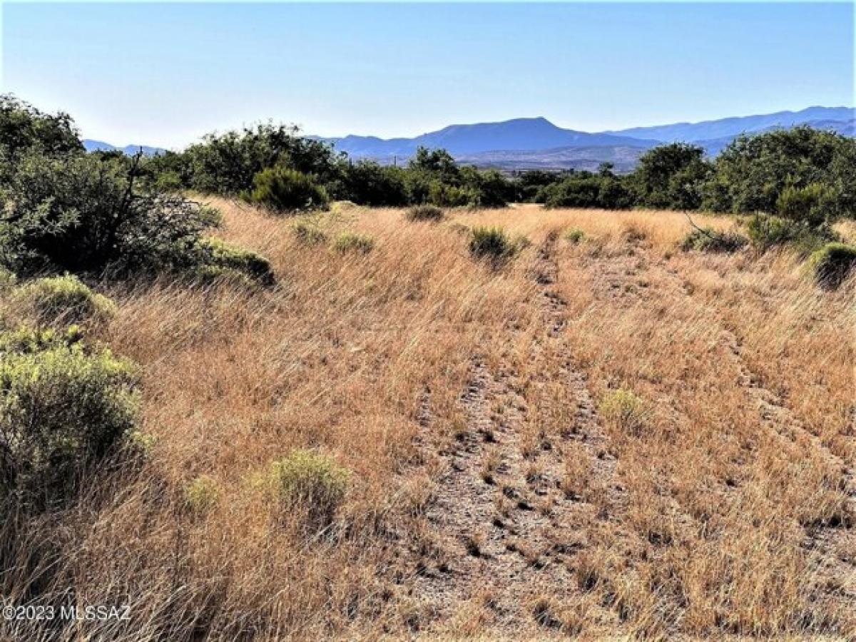 Picture of Residential Land For Sale in Benson, Arizona, United States