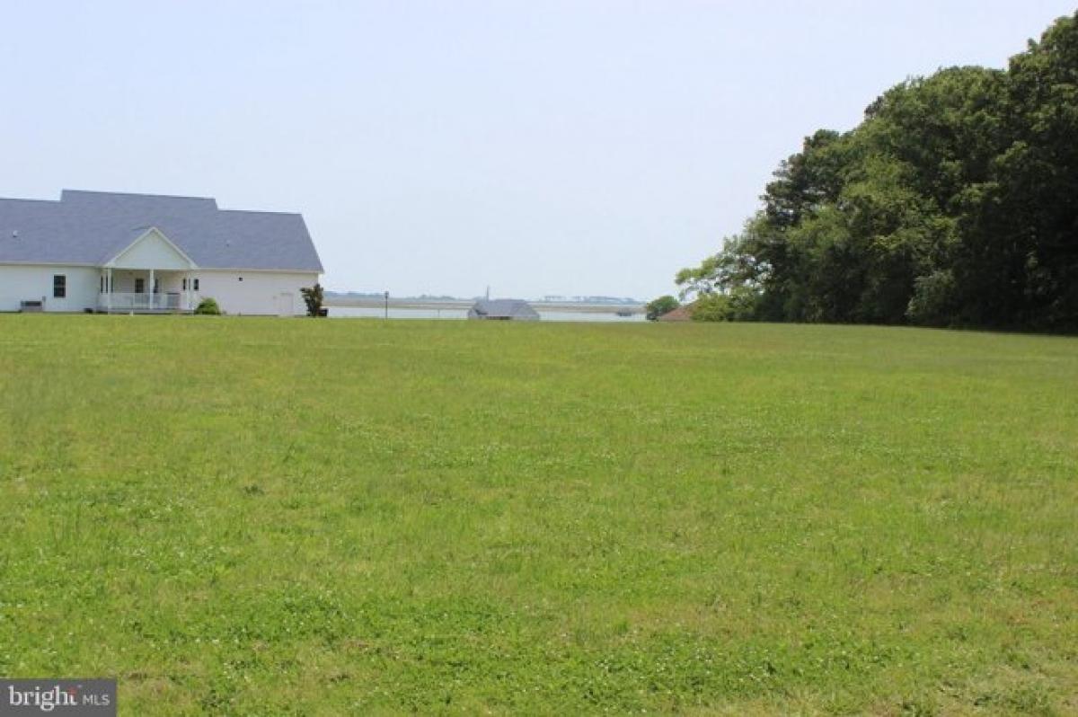 Picture of Residential Land For Sale in Atlantic, Virginia, United States