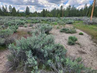 Residential Land For Sale in Susanville, California