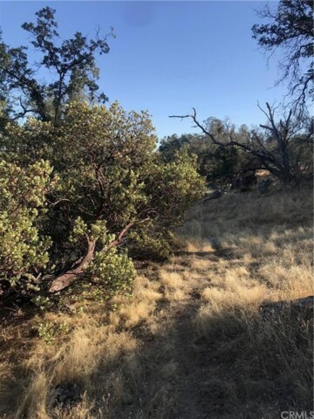 Picture of Residential Land For Sale in Coarsegold, California, United States