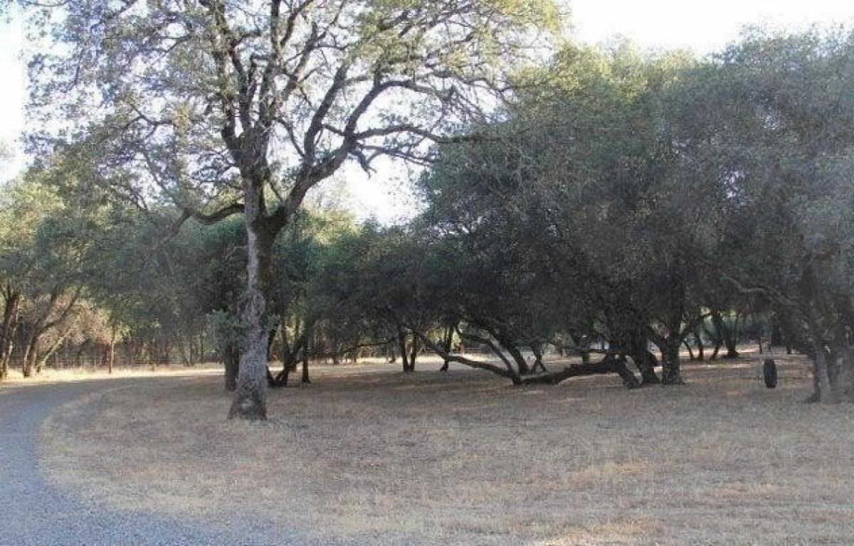 Picture of Residential Land For Sale in Browns Valley, California, United States