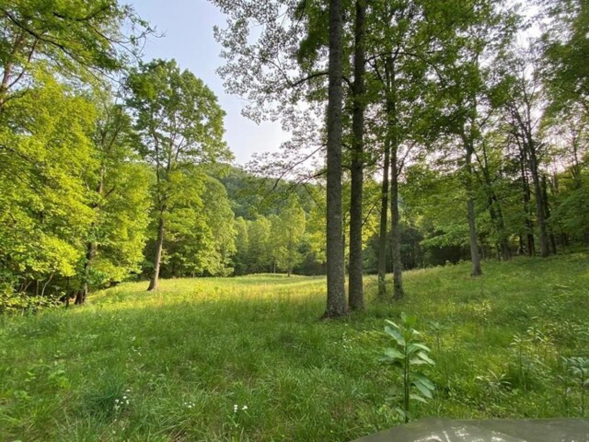 Picture of Home For Sale in Castlewood, Virginia, United States