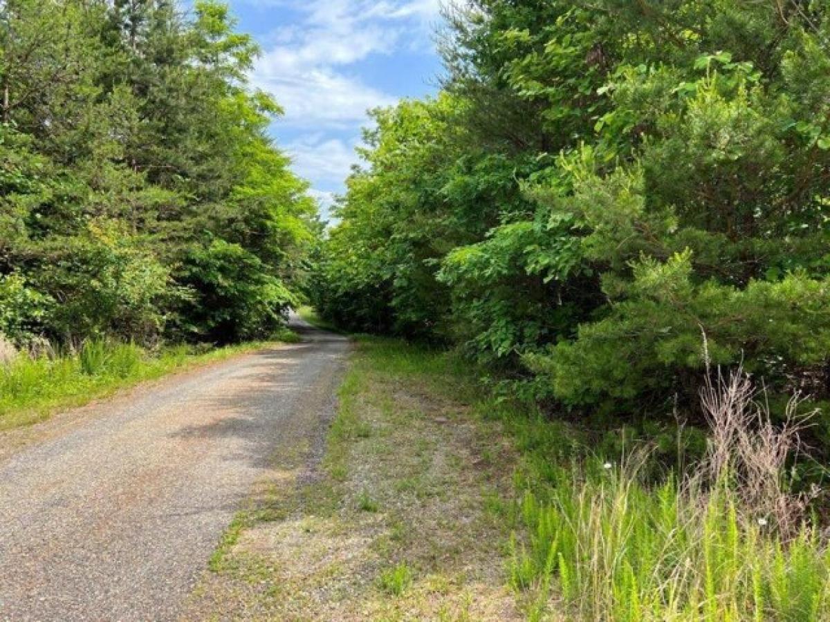 Picture of Residential Land For Sale in Bassett, Virginia, United States