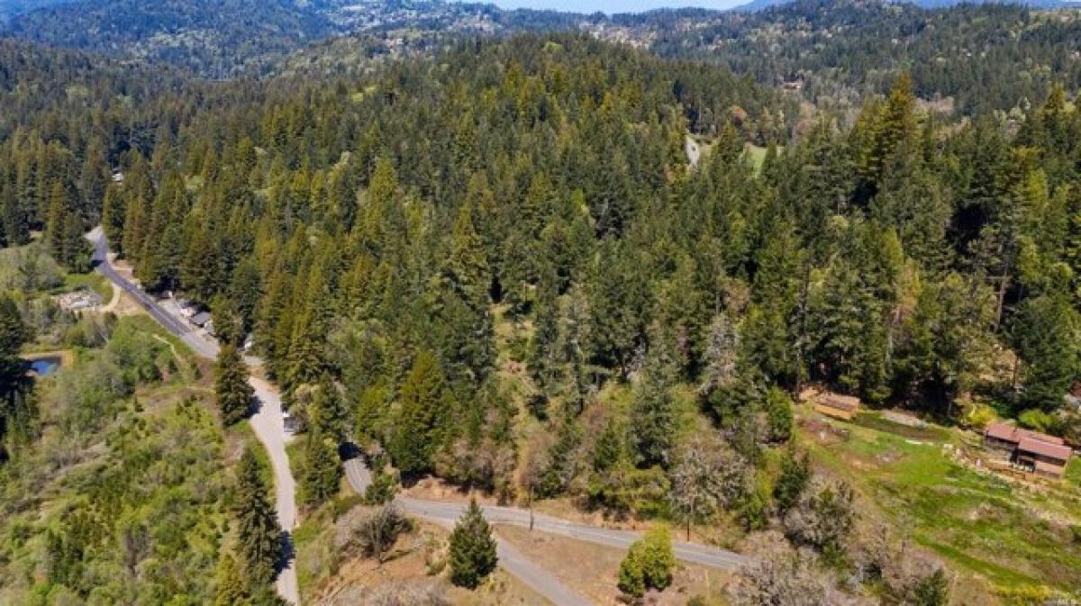 Picture of Residential Land For Sale in Willits, California, United States