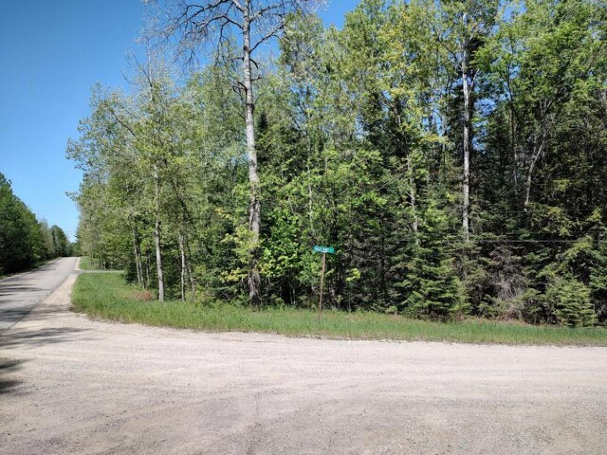 Picture of Residential Land For Sale in Wolverine, Michigan, United States