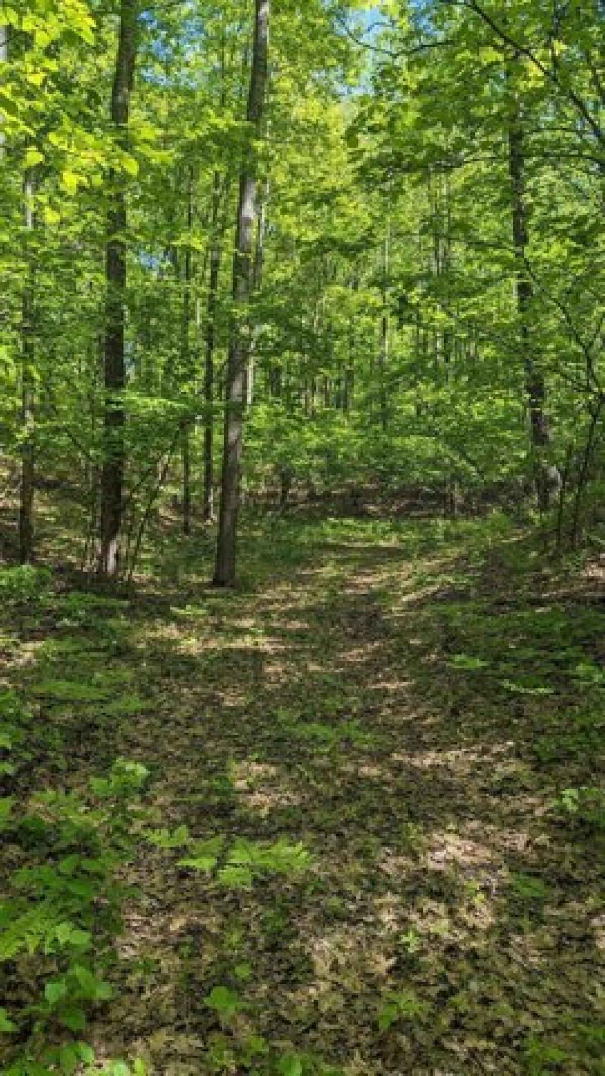 Picture of Residential Land For Sale in Wausaukee, Wisconsin, United States
