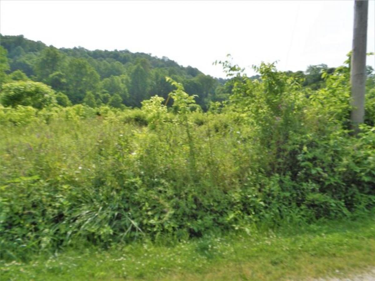 Picture of Residential Land For Sale in Celina, Tennessee, United States