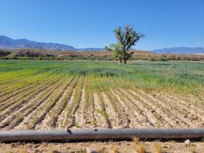 Residential Land For Sale in Littlefield, Arizona