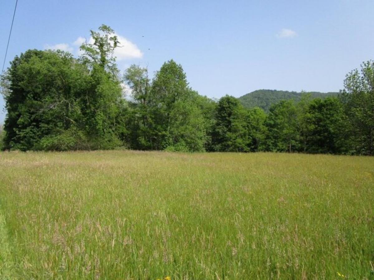 Picture of Residential Land For Sale in Roan Mountain, Tennessee, United States