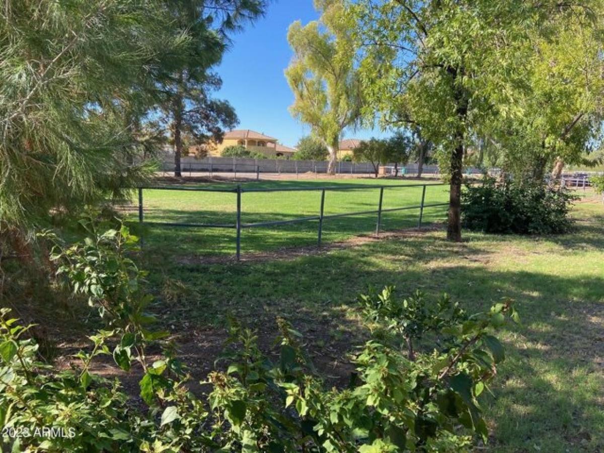 Picture of Residential Land For Sale in Gilbert, Arizona, United States
