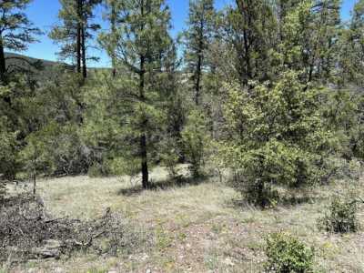 Residential Land For Sale in Young, Arizona