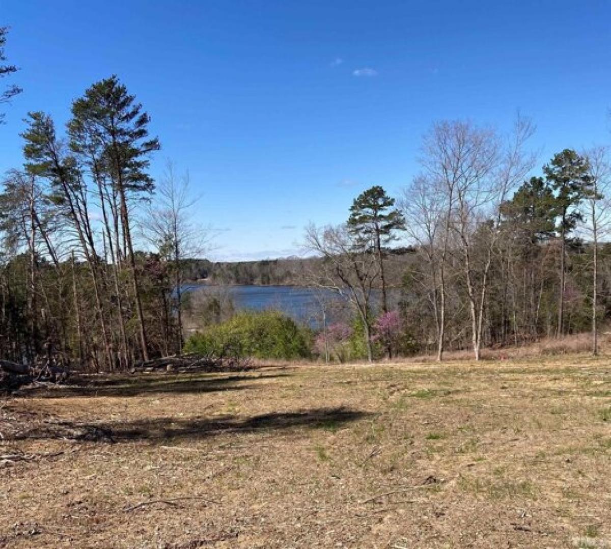 Picture of Residential Land For Sale in Semora, North Carolina, United States