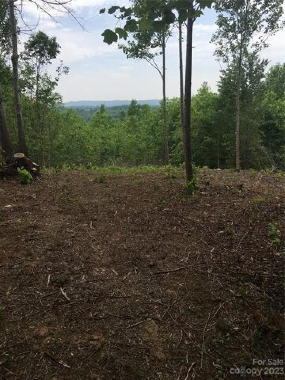 Picture of Residential Land For Sale in North Wilkesboro, North Carolina, United States