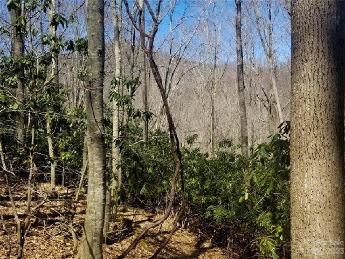 Picture of Residential Land For Sale in Green Mountain, North Carolina, United States