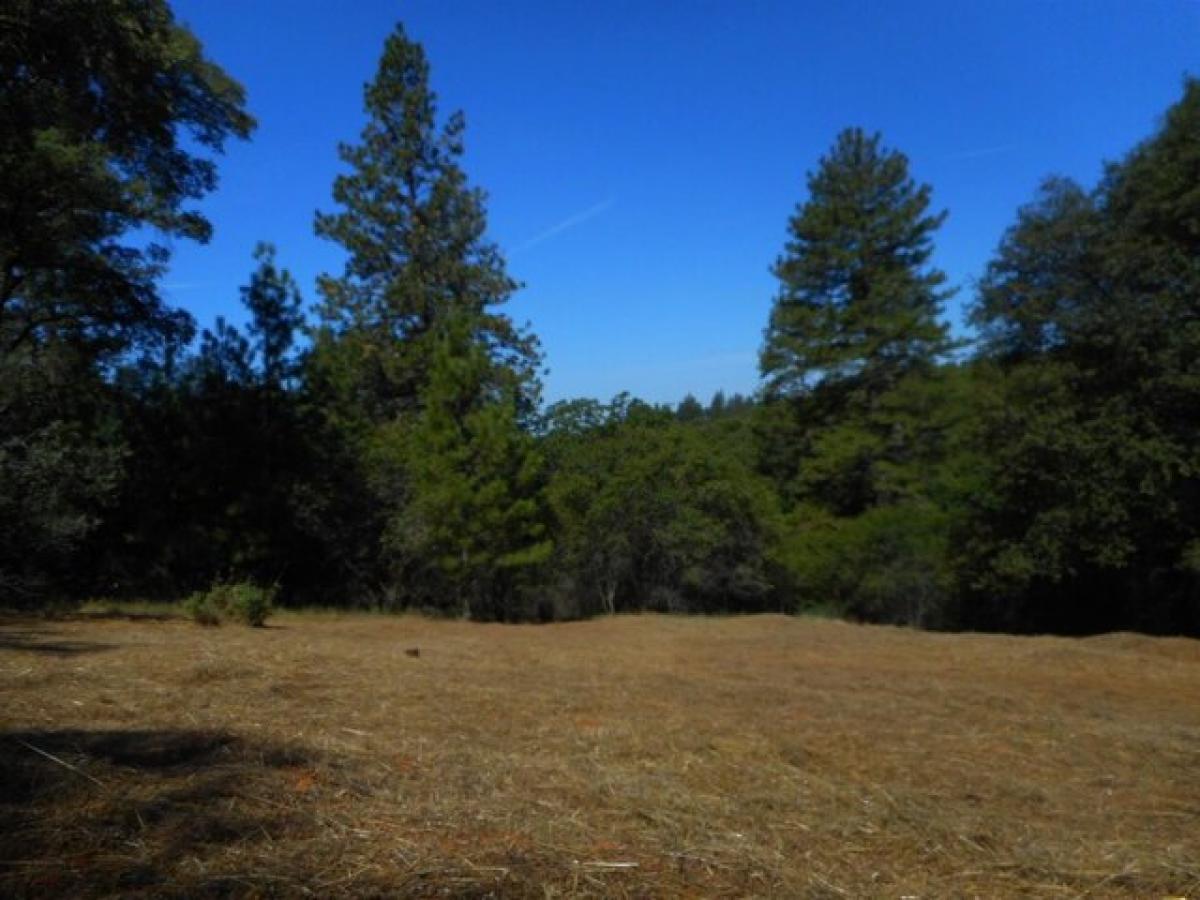 Picture of Residential Land For Sale in Auburn, California, United States
