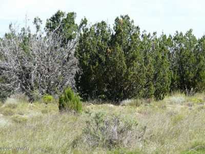 Residential Land For Sale in Heber, Arizona