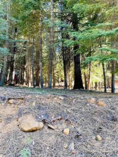 Residential Land For Sale in Chester, California