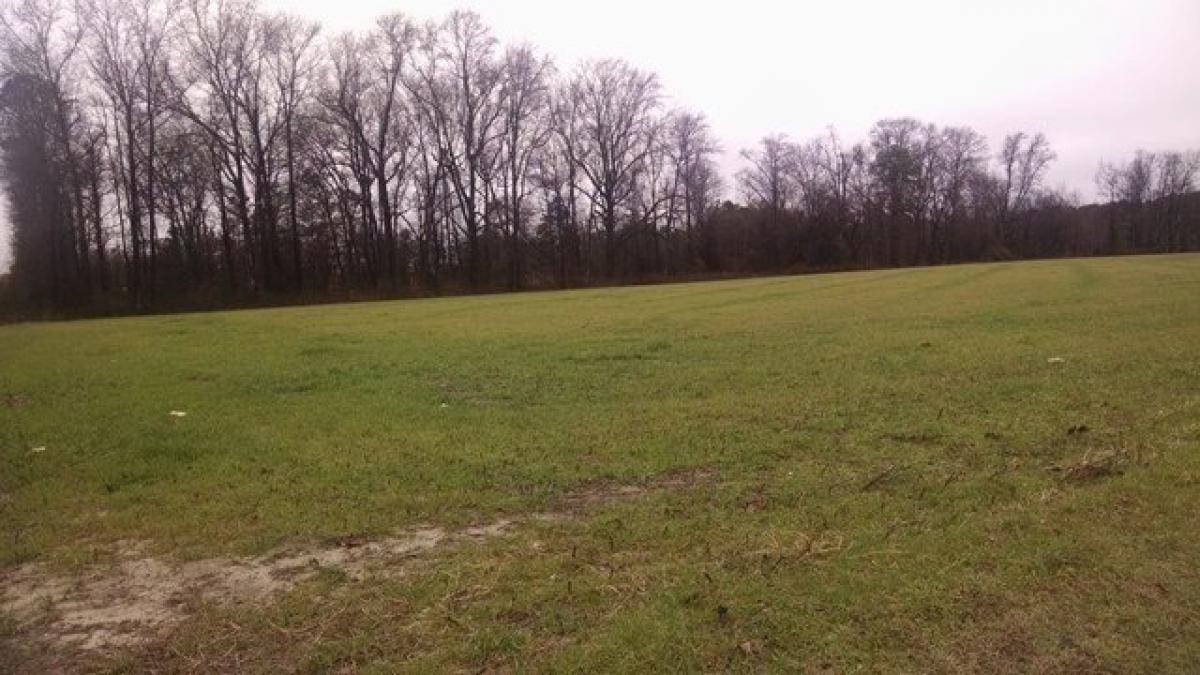 Picture of Residential Land For Sale in Dudley, North Carolina, United States