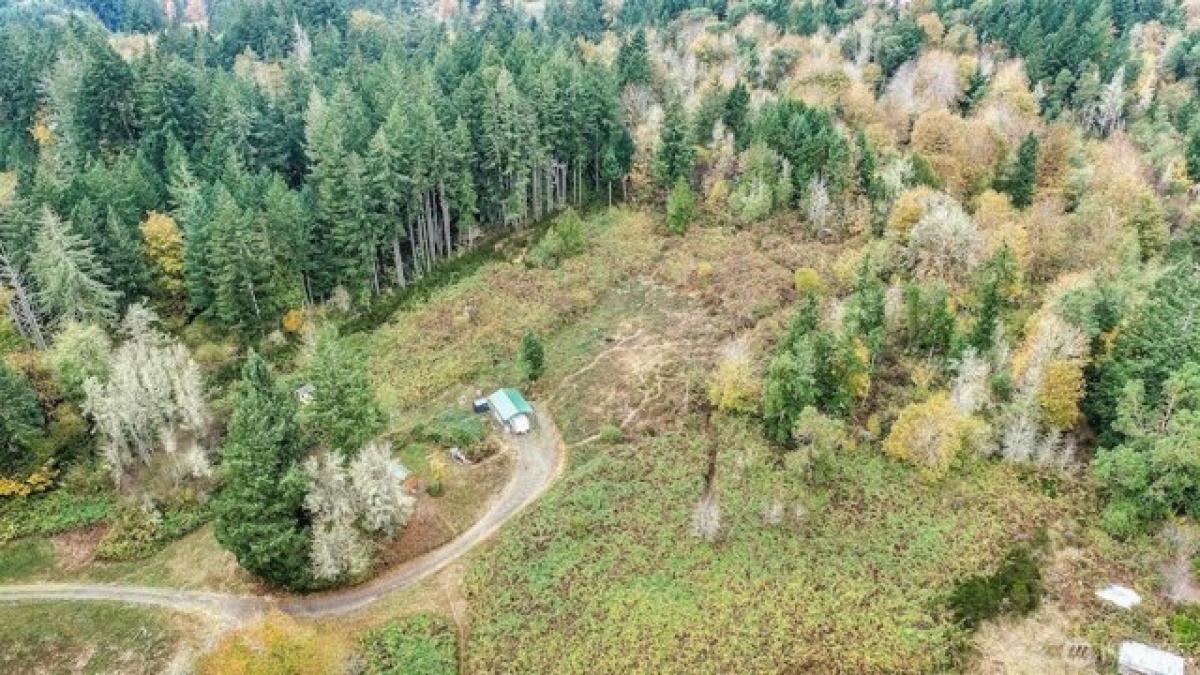 Picture of Residential Land For Sale in Longbranch, Washington, United States