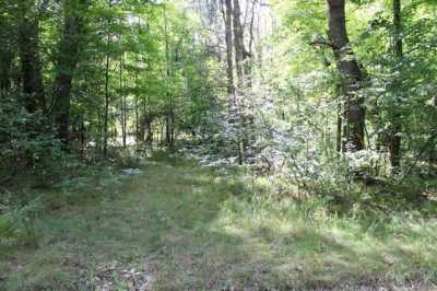 Residential Land For Sale in Farwell, Michigan
