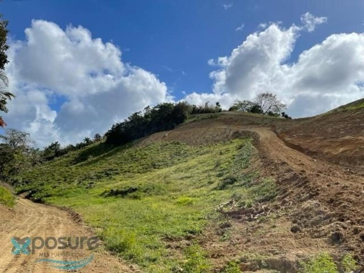 Picture of Residential Land For Sale in San Lorenzo, California, United States