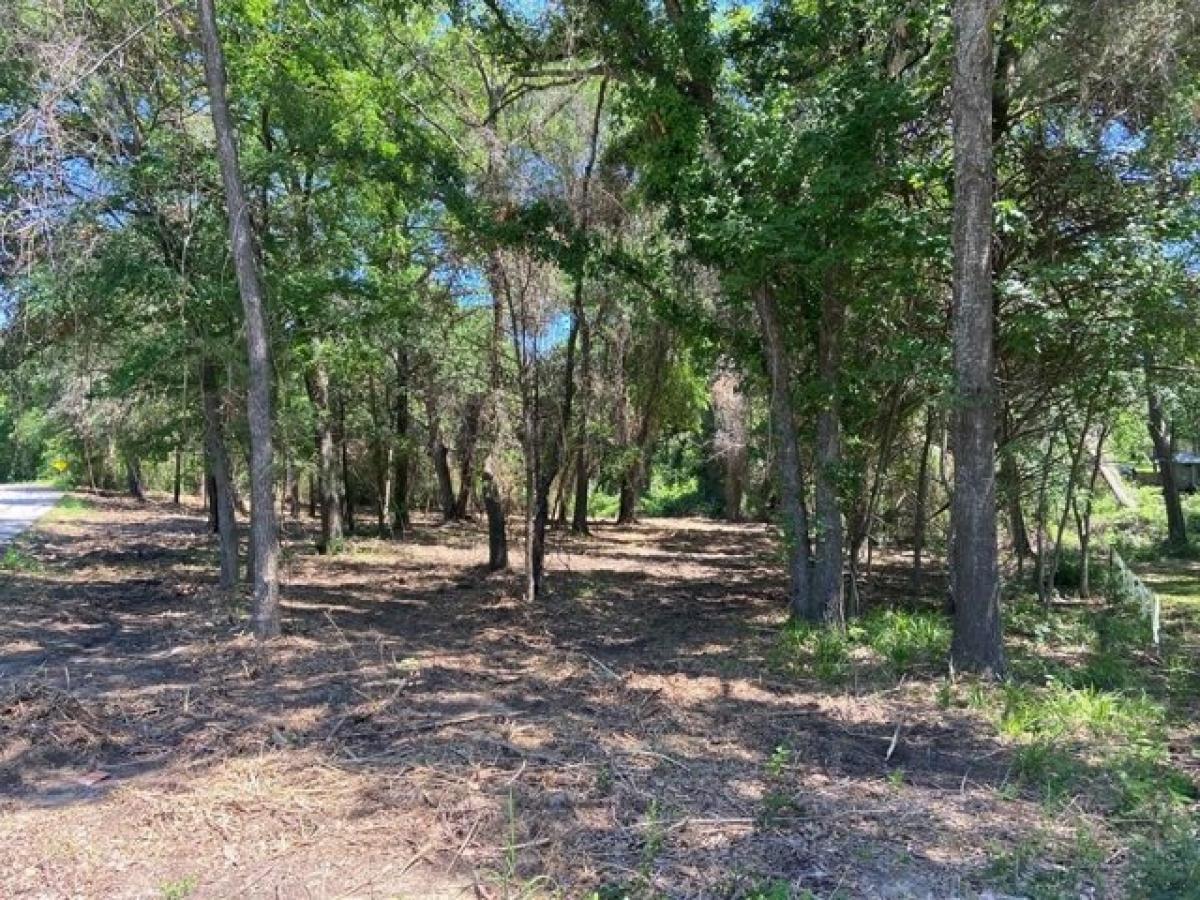 Picture of Residential Land For Sale in Tool, Texas, United States