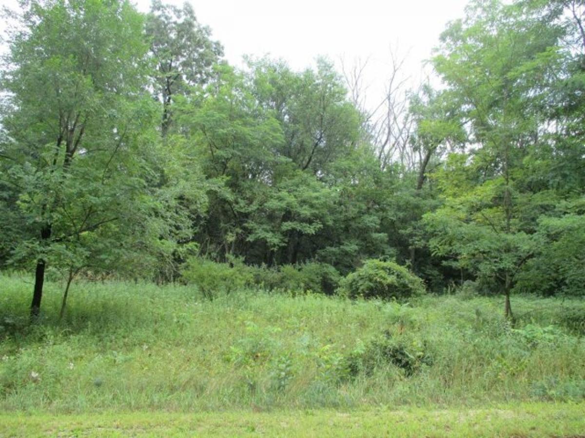 Picture of Residential Land For Sale in Montello, Wisconsin, United States