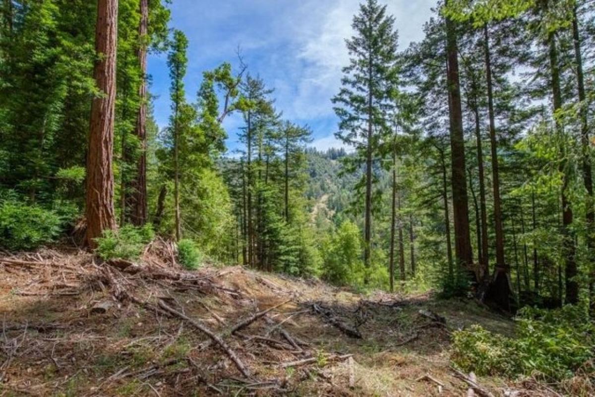 Picture of Residential Land For Sale in Boulder Creek, California, United States