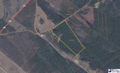 Residential Land For Sale in Mullins, South Carolina