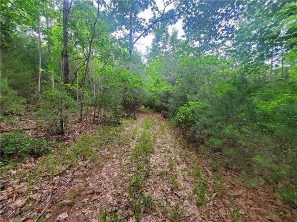 Picture of Residential Land For Sale in Thurmond, North Carolina, United States