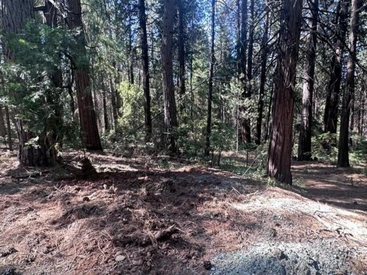 Picture of Residential Land For Sale in Volcano, California, United States