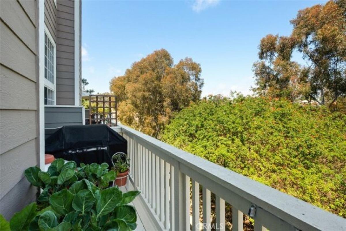 Picture of Home For Rent in Dana Point, California, United States