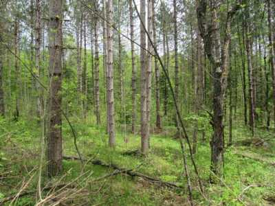 Residential Land For Sale in Wabeno, Wisconsin