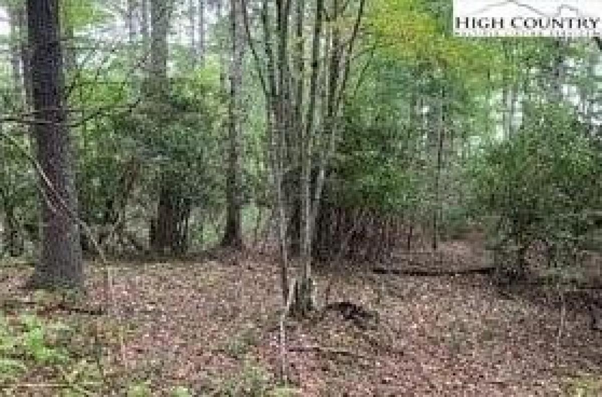 Picture of Residential Land For Sale in Fleetwood, North Carolina, United States