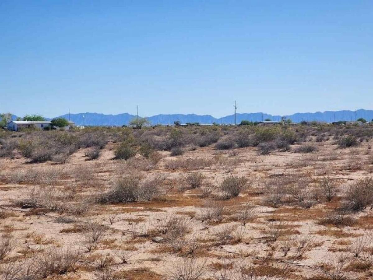 Picture of Residential Land For Sale in Dateland, Arizona, United States
