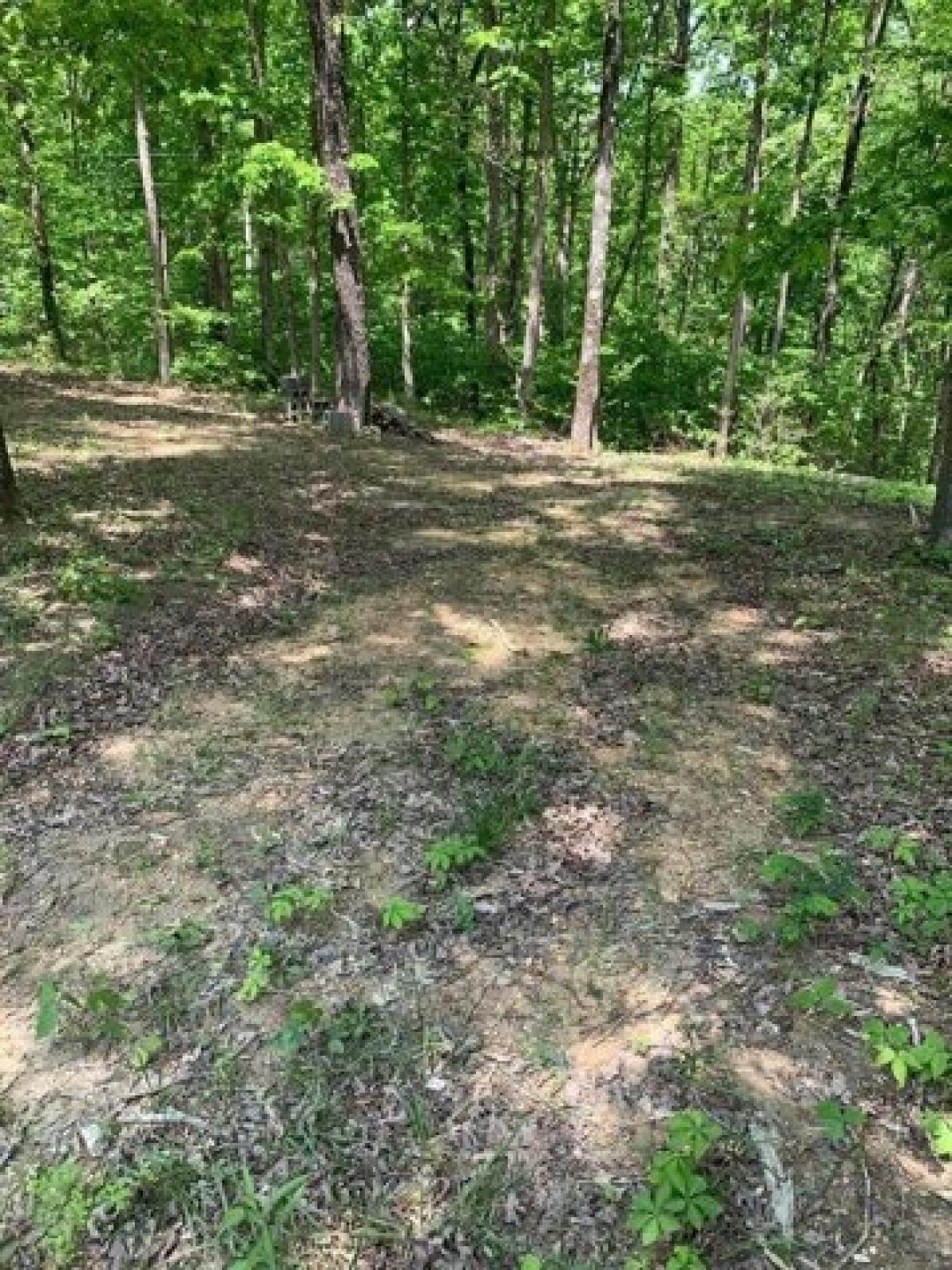 Picture of Residential Land For Sale in Nunnelly, Tennessee, United States