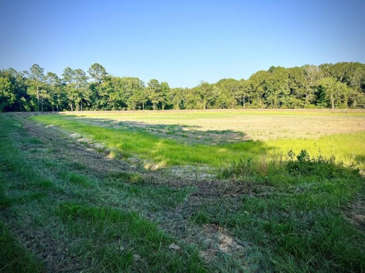 Picture of Residential Land For Sale in Pinopolis, South Carolina, United States