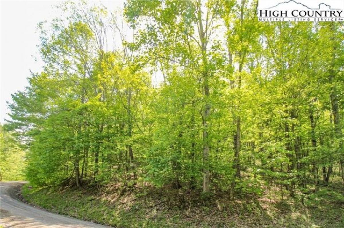 Picture of Residential Land For Sale in Zionville, North Carolina, United States