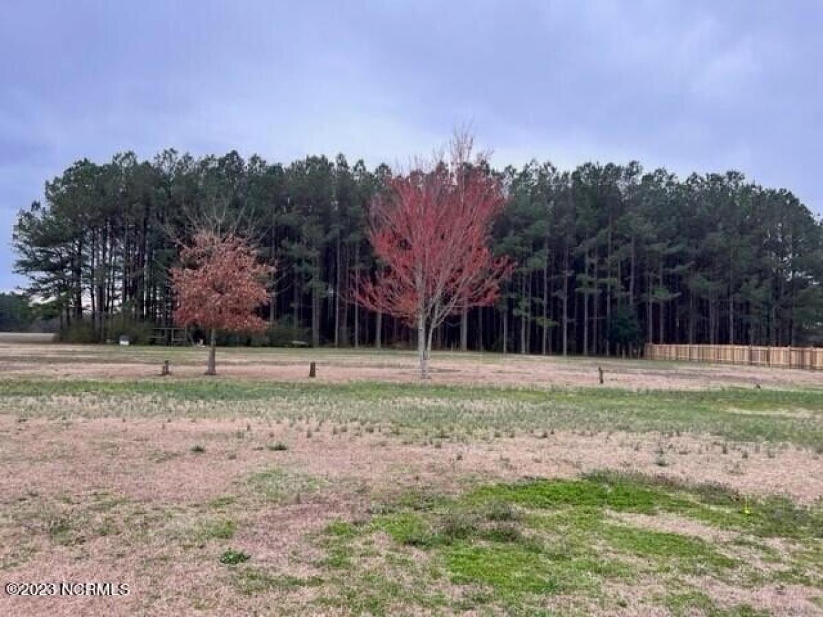 Picture of Residential Land For Sale in Walstonburg, North Carolina, United States