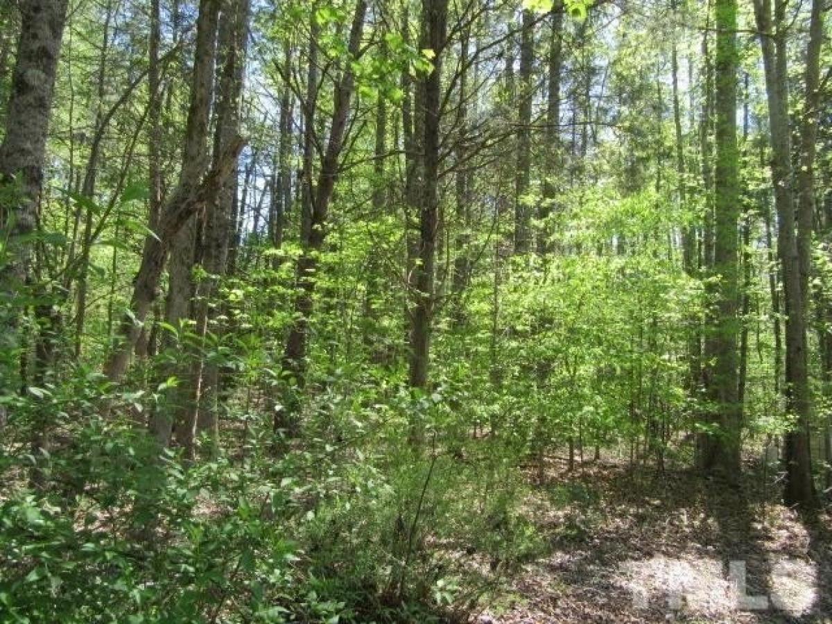 Picture of Residential Land For Sale in Bullock, North Carolina, United States