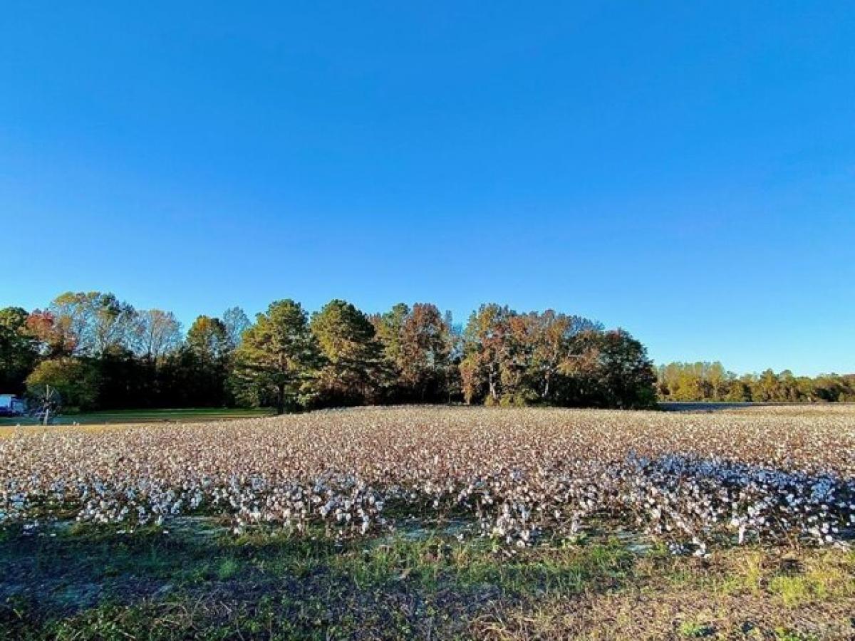 Picture of Residential Land For Sale in Tyner, North Carolina, United States