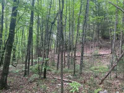 Residential Land For Sale in Hampton, Tennessee