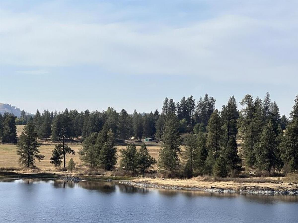 Picture of Residential Land For Sale in Medical Lake, Washington, United States