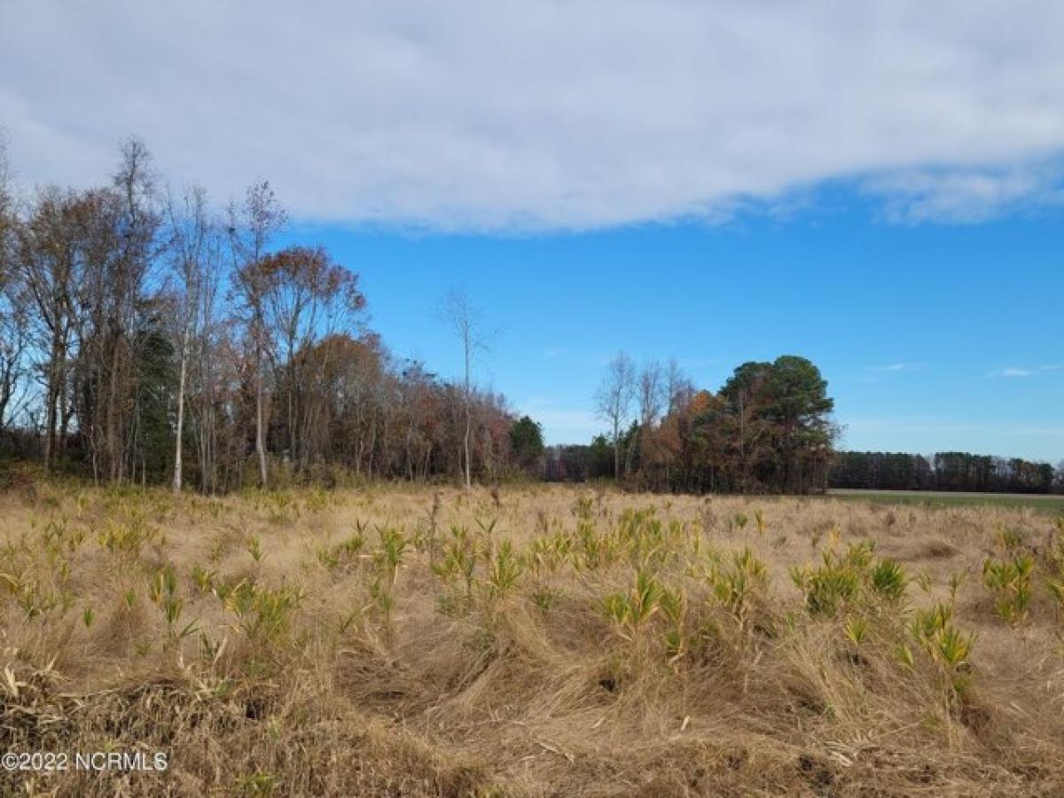 Picture of Residential Land For Sale in Tyner, North Carolina, United States