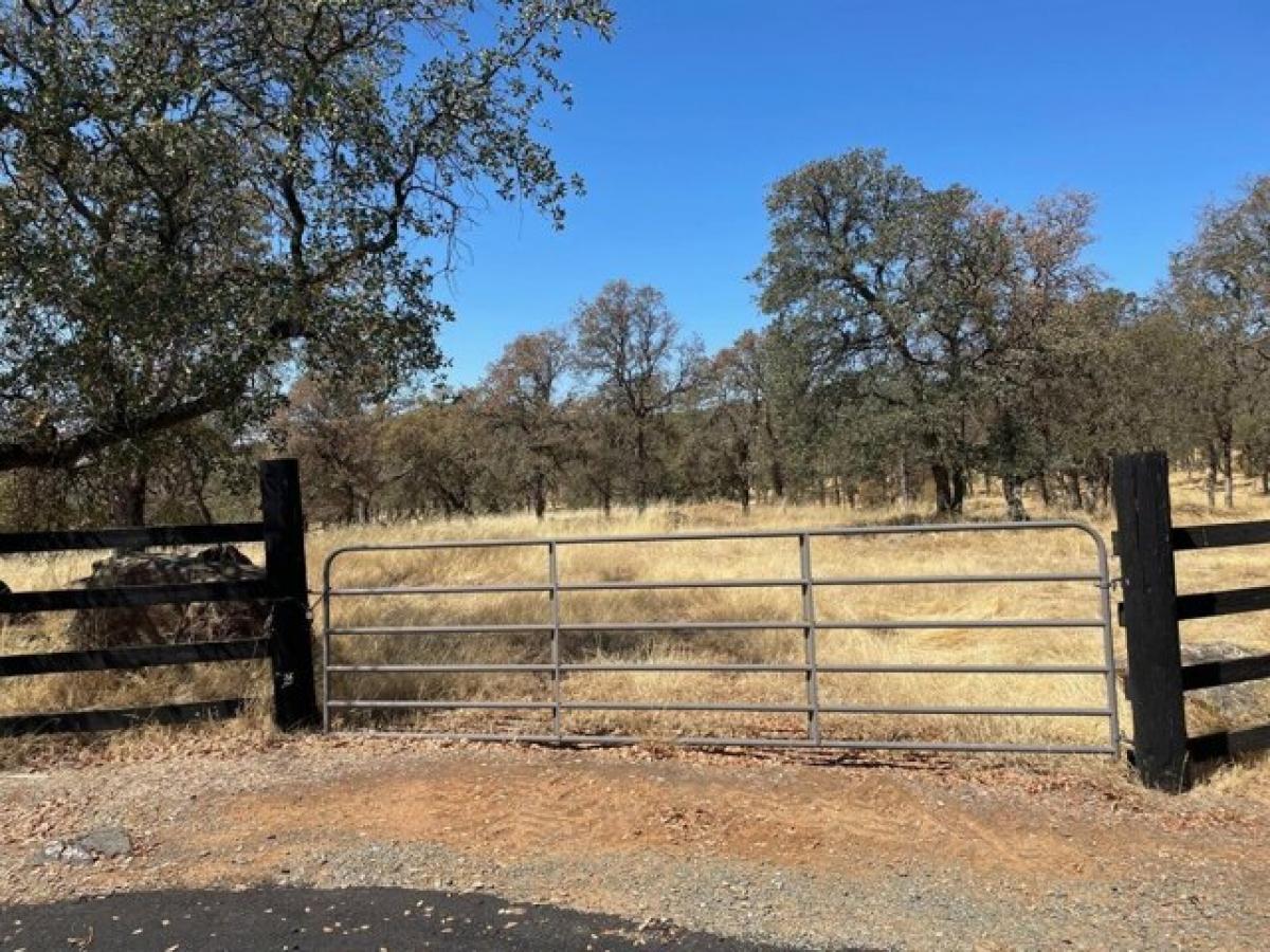 Picture of Residential Land For Sale in Browns Valley, California, United States