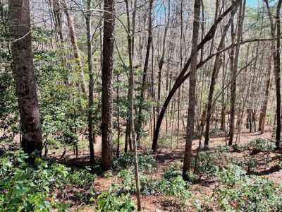 Residential Land For Sale in Brevard, North Carolina
